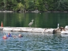 aug-2011_13