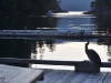 aug-2011_24