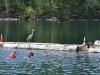 aug-2011_27
