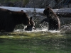 aug-2011_20