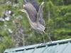 aug-2011_26